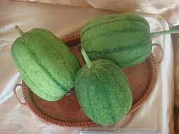 Rare Find! 2/10/20 APPLE LUFFA F1 Seeds; very sweet can be eaten raw; mini Taiwan loofah; high yield(2 Seeds)