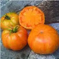 Organic Orange Jazz Tomato - 5/25/50 seeds(5 Seeds)