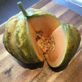 Melon Seeds: Italian Heirloom, Rare Organic Cantaloupe(10 Seeds)