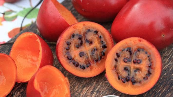 Red Tamarillo Seeds ~Solanum becateum~ Cyphomandra becatea ~ Tree Tomato ~ Tomate de Arbol Andino, Tomate Serrano, Yuca, Sachatomate(2 Seeds)