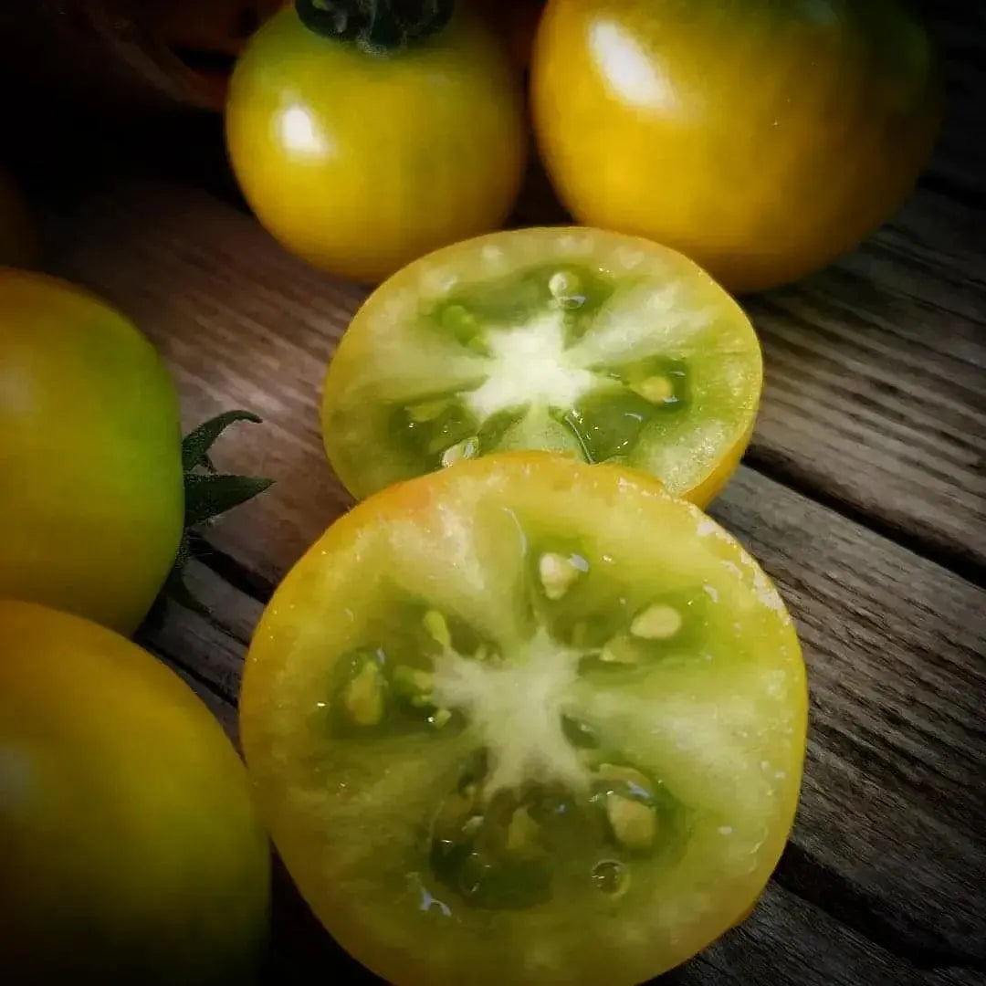 Fat Frog Micro Dwarf Tomato Seeds(10 Seeds)