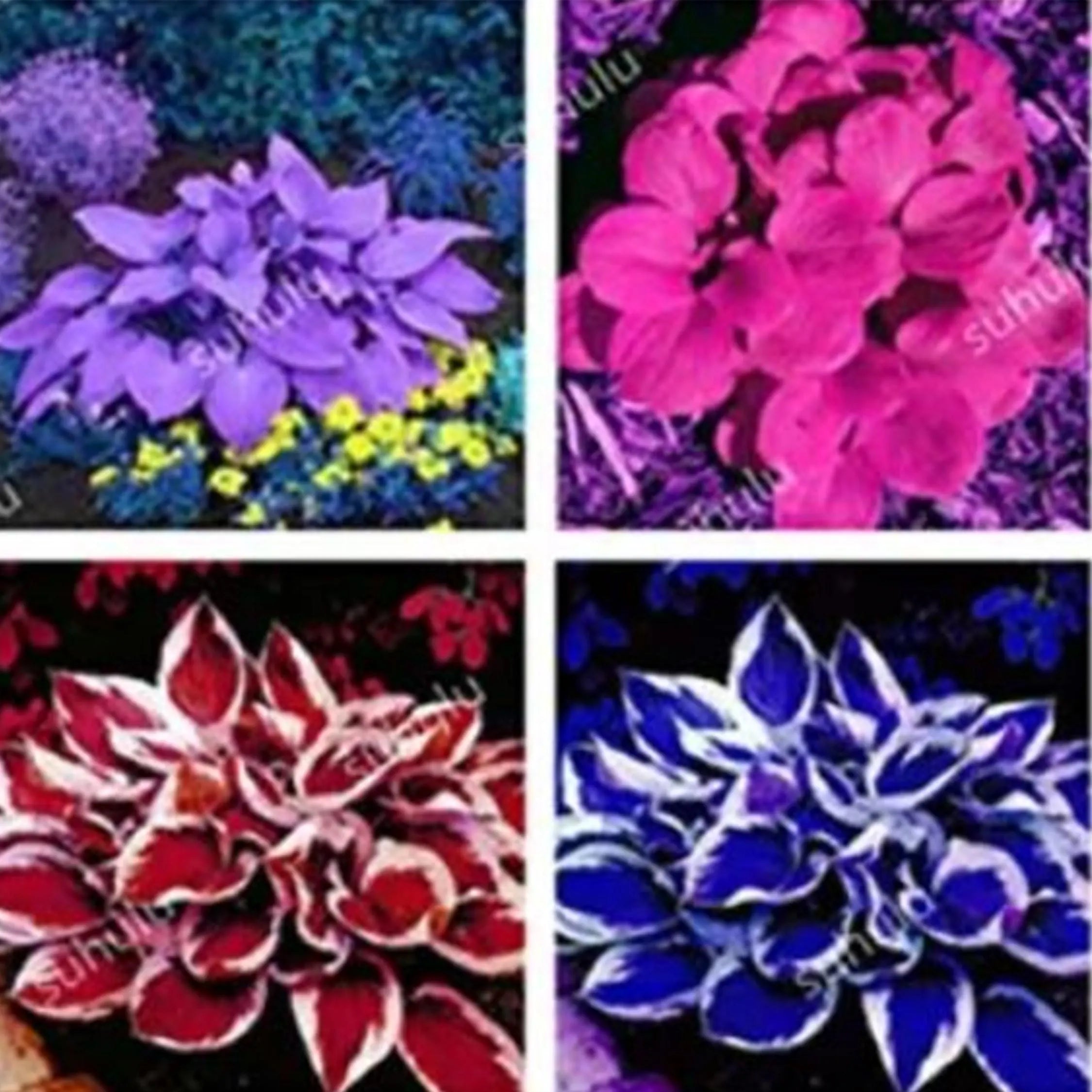 40/200/400 Hosta Seeds Mix - Perennial Lily Flower Shade Grass(40 Seeds)