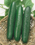 Sweet Success Cucumber Seeds - 20/100/200 Seed Counts(20 Seeds)
