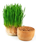 Organic Wheatgrass Seeds for Microgreens - Non-GMO, USA Grown Microgreens Sprouting Seeds Mix(4pcs)