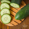 Cucumber Muncher x 4/20/40 seeds(4 Seeds)