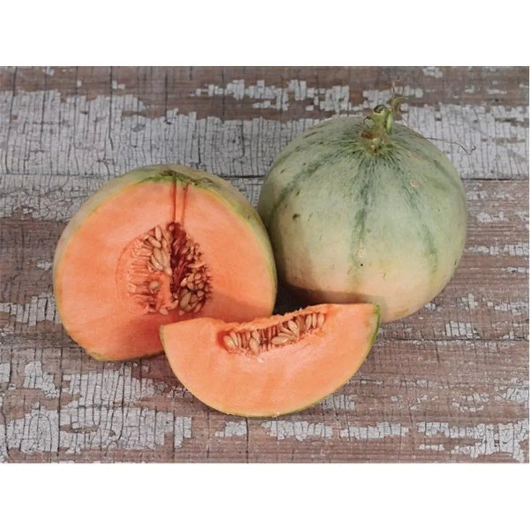 Charentais Cantaloupe Seeds(3 Seeds)