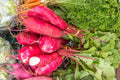 20/100/200 CHINA ROSE RADISH (Chinese Winter Radish) Raphanus Sativus Vegetable Seeds(20 Seeds)