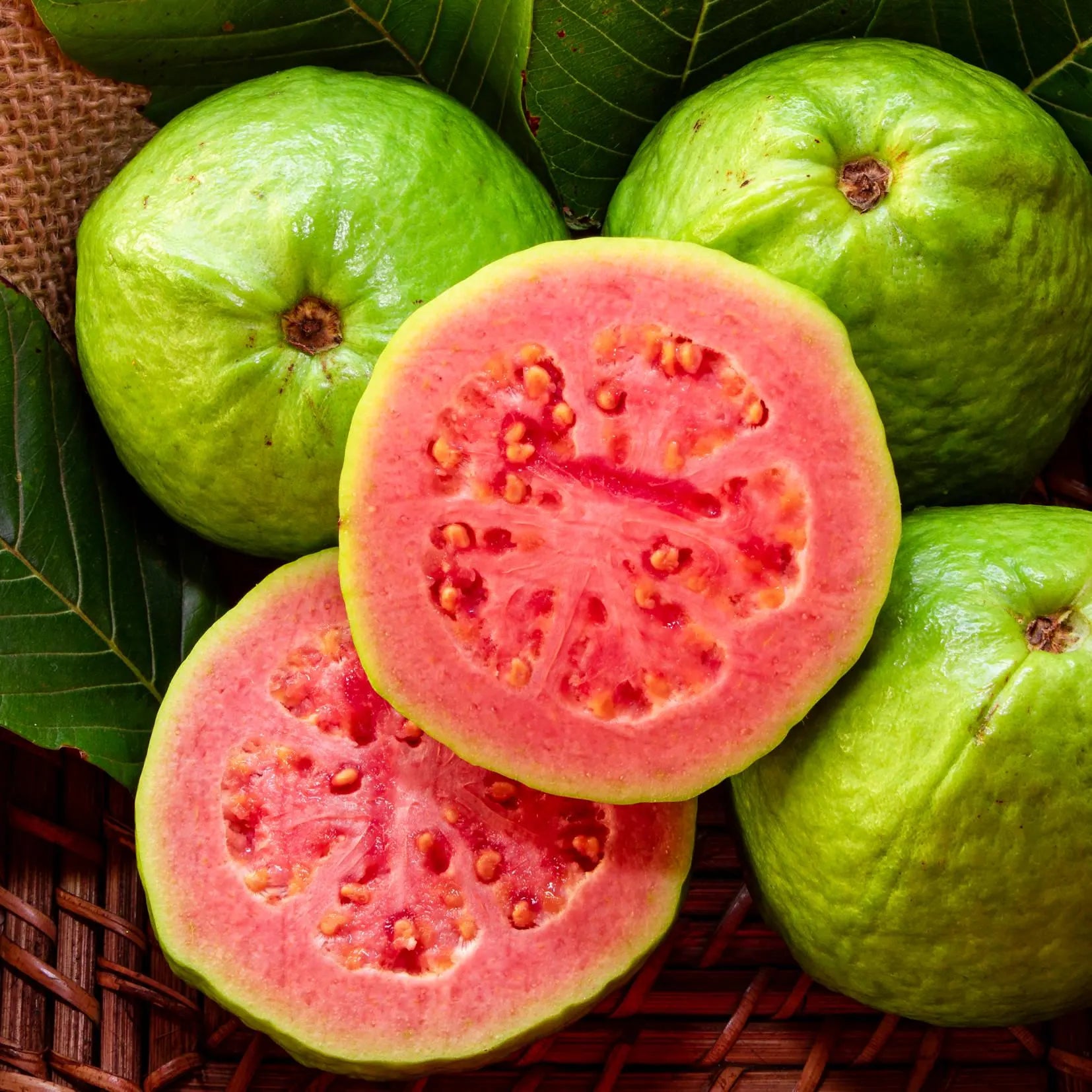 Pink Guava Seeds Psidium guajava Non-GMO, Tracking Included, Gardening Gift, Guava Fruit Seeds,Home Gardening Essential(4 Seeds)