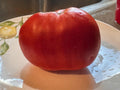 Amos Coli Tomato Seeds(2 Seeds)