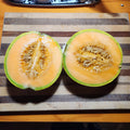 4/20/40 Cantaloupe Seeds Trifecta × Edisto  – Sweet Heirloom Muskmelon, Orange Fleshed Fruit – Organic, Non-GMO Seeds, Open Pollinated(4 Seeds)
